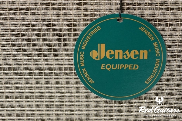 TONE MASTER PRINCETON REVERB